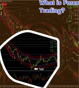 Beginners what is forex trading